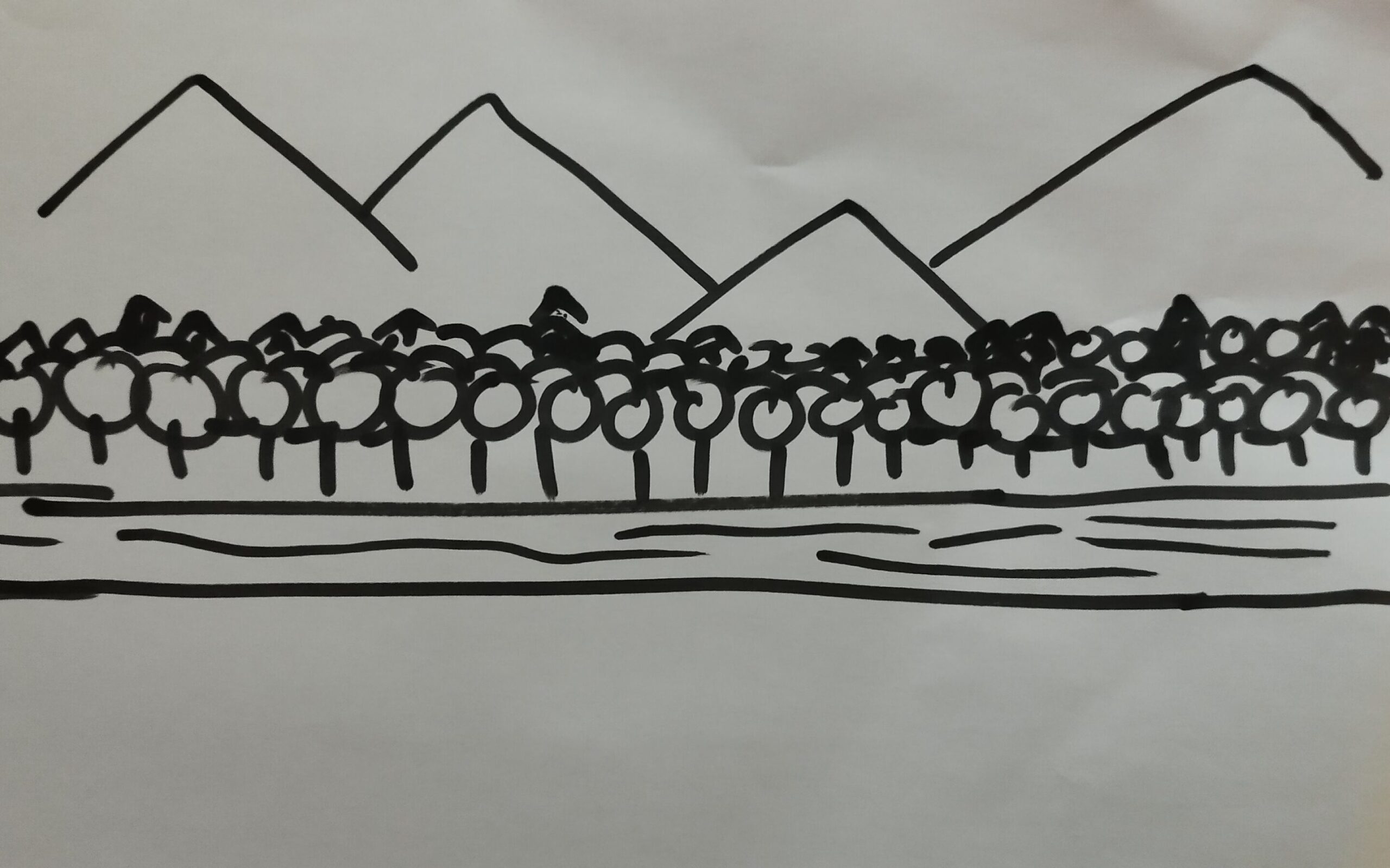 A drawing of some mountains, a forest, and a river