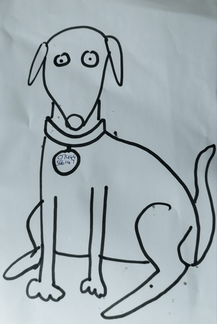 A drawing of a dog. On the dog's collar, the phone number 07444566147 is visible